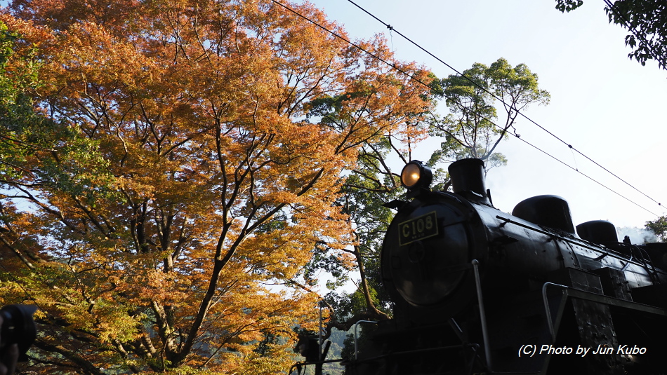 大井川鐡道の写真